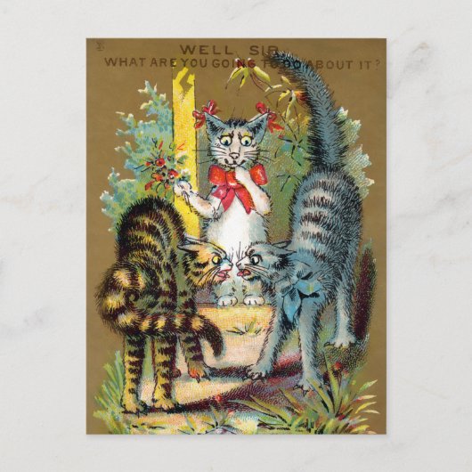 Frears Cat Trade Card #3 (van 6) Briefkaart (Voorkant)