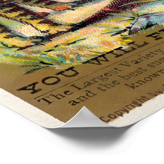 Frears Cat Trade Card #3 (van 6) Poster (Hoek)