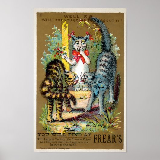 Frears Cat Trade Card #3 (van 6) Poster (Voorkant)