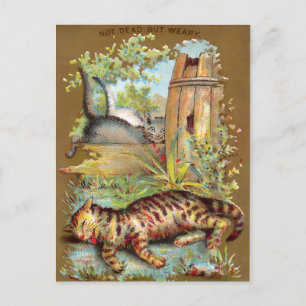 Frears Cat Trade Card #5 (van 6) Briefkaart