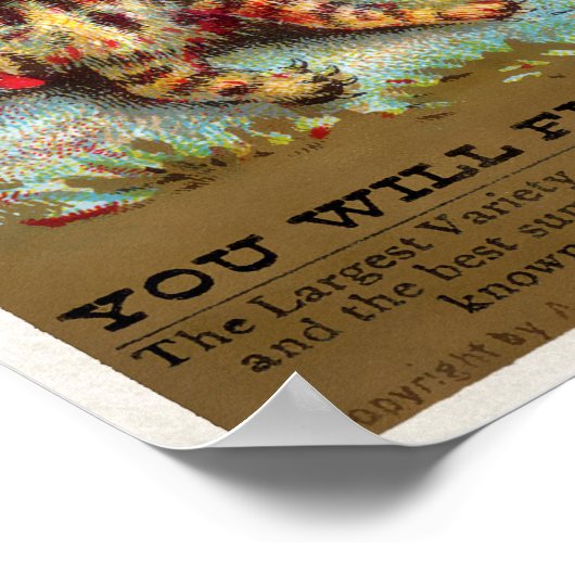 Frears Cat Trade Card #5 (van 6) Poster (Hoek)