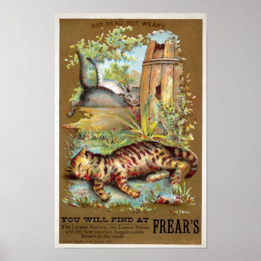Frears Cat Trade Card #5 (van 6) Poster (Voorkant)