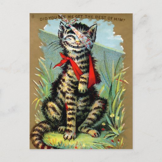 Frears Cat Trade Card #6 (van 6) Briefkaart (Voorkant)