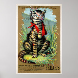 Frears Cat Trade Card #6 (van 6) Poster