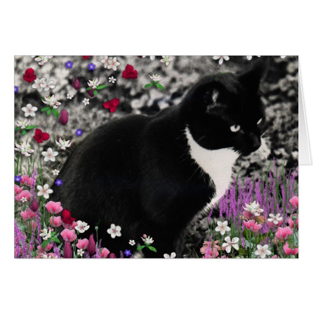 Freckles in Flowers II - Tuxedo Cat (Voorkant Horizontaal)
