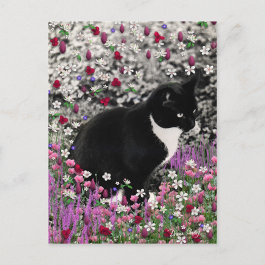 Freckles in Flowers II - Tuxedo Cat Briefkaart (Voorkant)