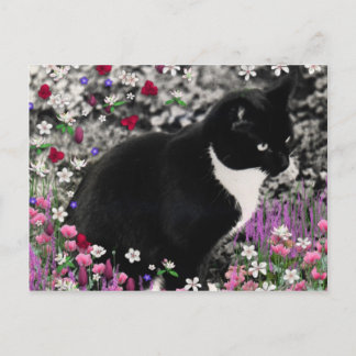 Freckles in Flowers II - Tuxedo Cat Briefkaart