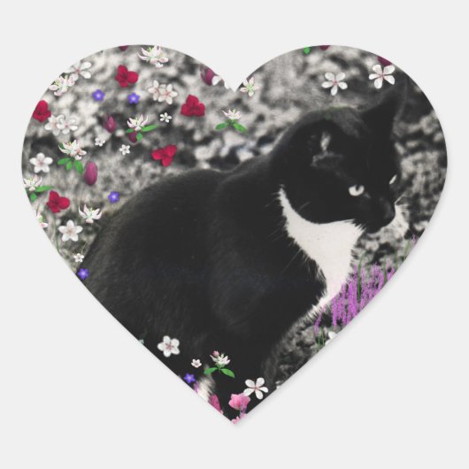 Freckles in Flowers II - Tuxedo Cat Hart Sticker (Voorkant)
