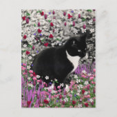 Freckles in Flowers II - Tuxedo Kitty Cat Briefkaart (Voorkant)