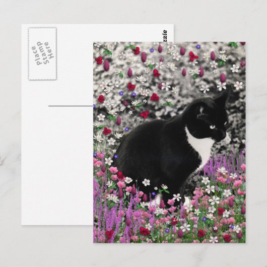Freckles in Flowers II - Tuxedo Kitty Cat Briefkaart (Voorkant / Achterkant)