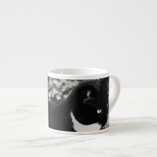 Freckles in Flowers II - Tuxedo Kitty Cat Espresso Kop (Voorkant rechts)