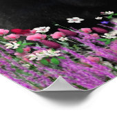 Freckles in Flowers II - Tuxedo Kitty Cat Poster (Hoek)