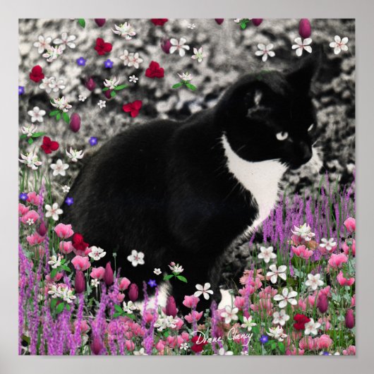 Freckles in Flowers II - Tuxedo Kitty Cat Poster (Voorkant)