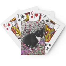 Freckles in Flowers II - Tuxedo Kitty Cat