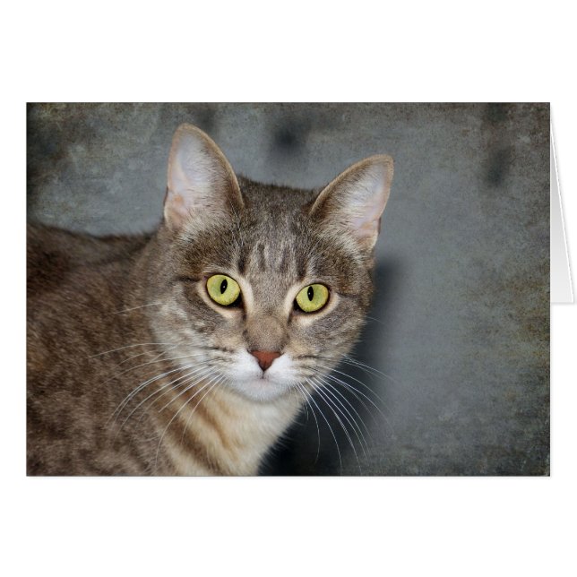 Fred (Voorkant Horizontaal)