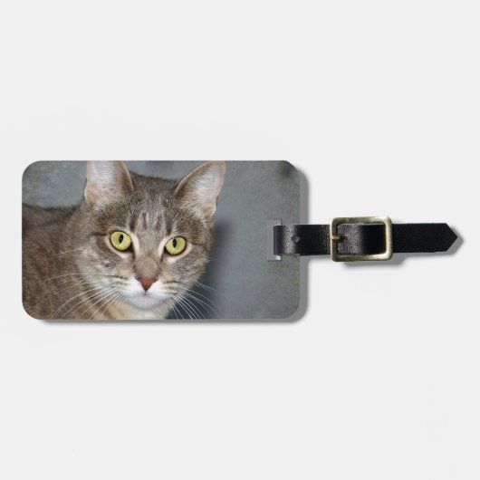 Fred Bagagelabel (Voorkant horizontaal)