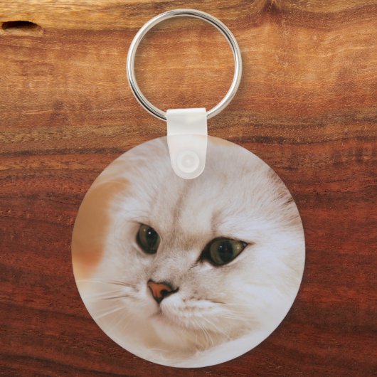 Freddie ~ Chinchilla Persians Sleutelhanger (Voorkant)