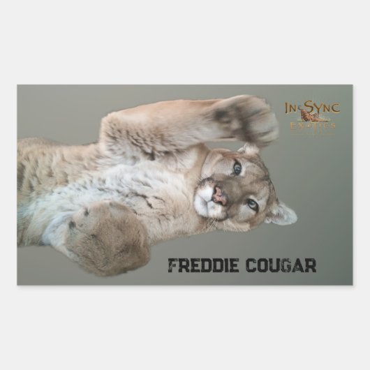 Freddie Cougar Rechthoekige Sticker (Voorkant)