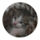 Freddie Keramische Knop (Voorkant)