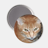 Freddie Magenet Magneet (Voorkant / Achterkant)