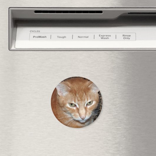 Freddie Magenet Magneet (Insitu (Vaatwasser))