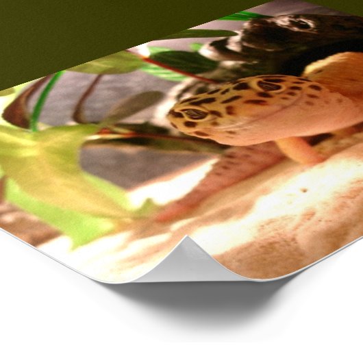 Freddy Poster (Hoek)