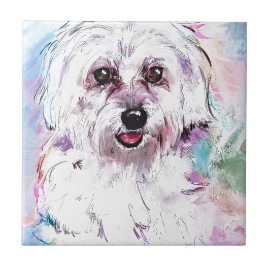 FREDDY TEGELTJE (Voorkant)