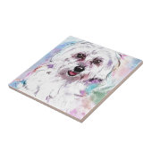 FREDDY TEGELTJE (Zijkant)