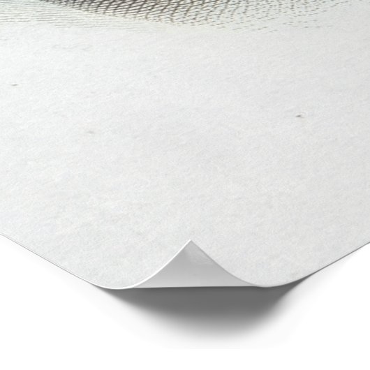 Frederic Chopin Poster (Hoek)