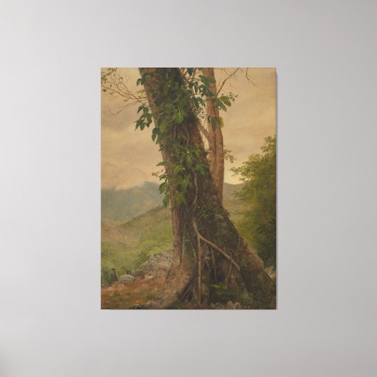 Frederic Edwin Church - Boomstam Canvas Afdruk (Voorkant)