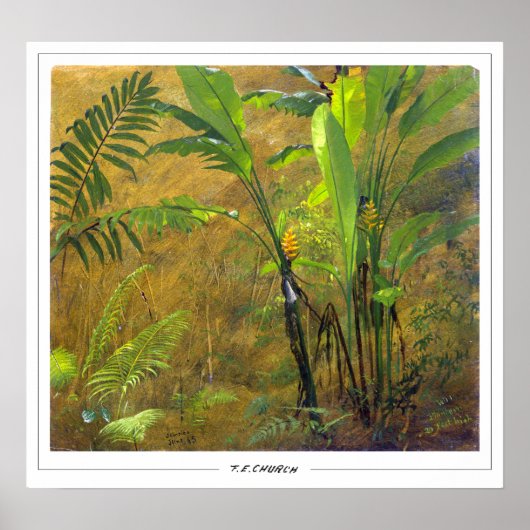 Frederic Edwin Church Fijne Kunst #651 Poster (Voorkant)