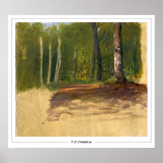 Frederic Edwin Church Fine Art #388 Poster (Voorkant)