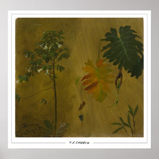 Frederic Edwin Church Fine Art #48 Poster (Voorkant)