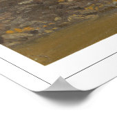 Frederic Edwin Church Fine Art #732 Poster (Hoek)