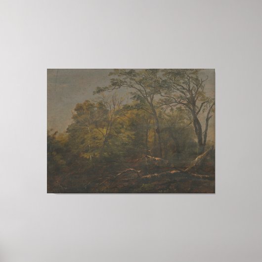 Frederic Edwin Church - Maine Woods Canvas Afdruk (Voorkant)