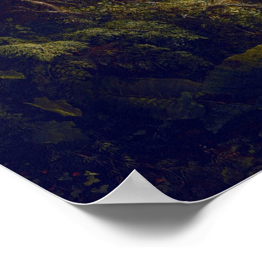 Frederic Edwin Church The River of Light Poster (Hoek)