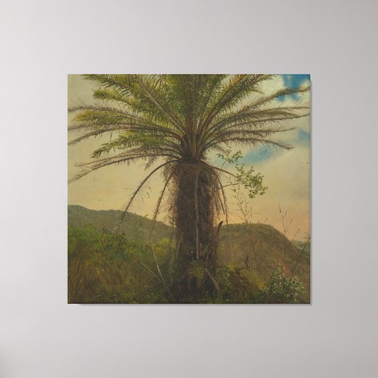 Frederic Edwin Church - Tree Fern, Jamaica Canvas Afdruk (Voorkant)