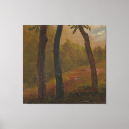 Frederic Edwin Church - Woodland Scene Canvas Afdruk