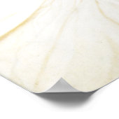 Frederic Leighton Pavonia Poster (Hoek)