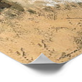 Frederic Remington Art: "De buffel teruggooien Poster (Hoek)