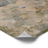 Frederic Remington - een complot aandoen Poster (Hoek)