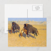 Frederic Remington - Indiërs simuleren Buffalo Briefkaart (Voorkant / Achterkant)