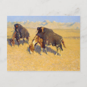 Frederic Remington - Indiërs simuleren Buffalo Briefkaart