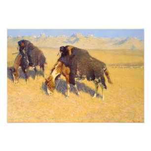 Frederic Remington - Indiërs simuleren Buffalo Foto Afdruk