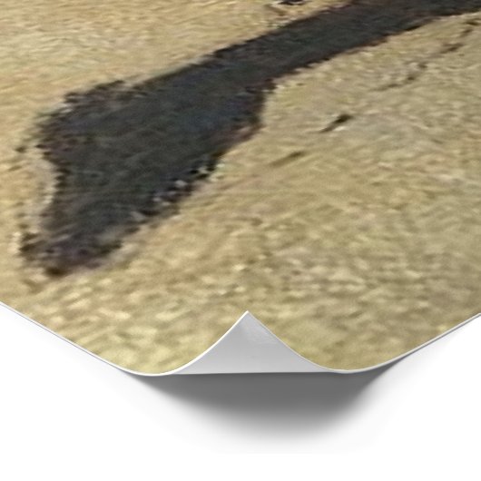 Frederic Remington Western Art “Apache Verkenner” Poster (Hoek)