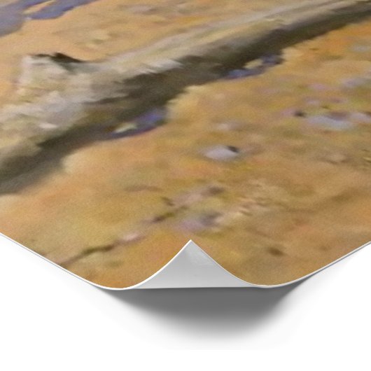 Frederic Remington Westerse Kunst “Dash For The Ti Poster (Hoek)