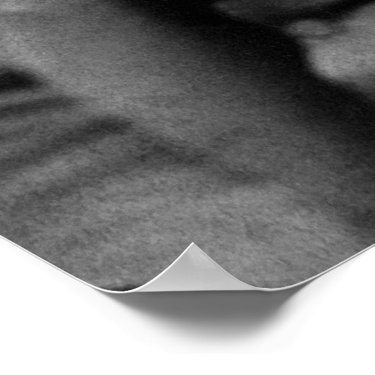 Frederick Douglass Portret van George K. Warren Poster (Hoek)