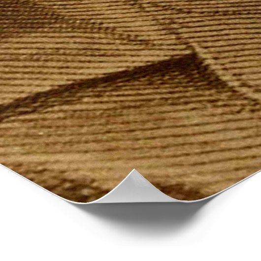 Frederick Douglass Poster (Hoek)