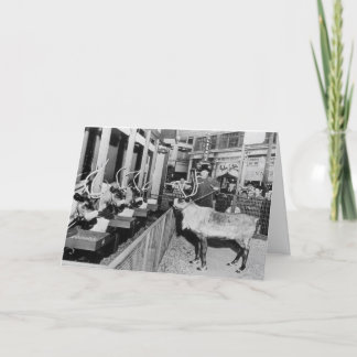 Frederick & het Venster van Kerstmis van Nelson Feestdagen Kaart