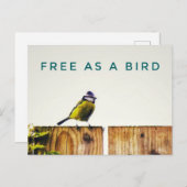 Free as a Bird Postcard Briefkaart (Voorkant / Achterkant)